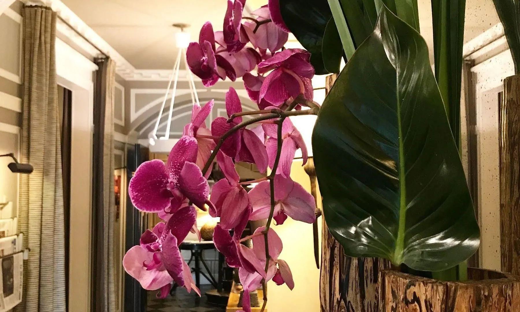 Hotel Recamier